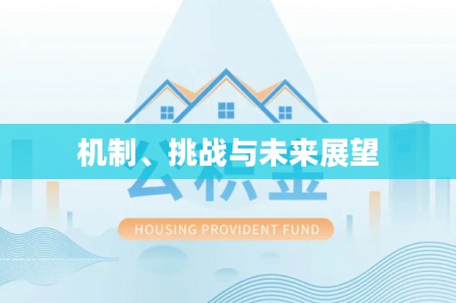 东丰机制、挑战与未来展望